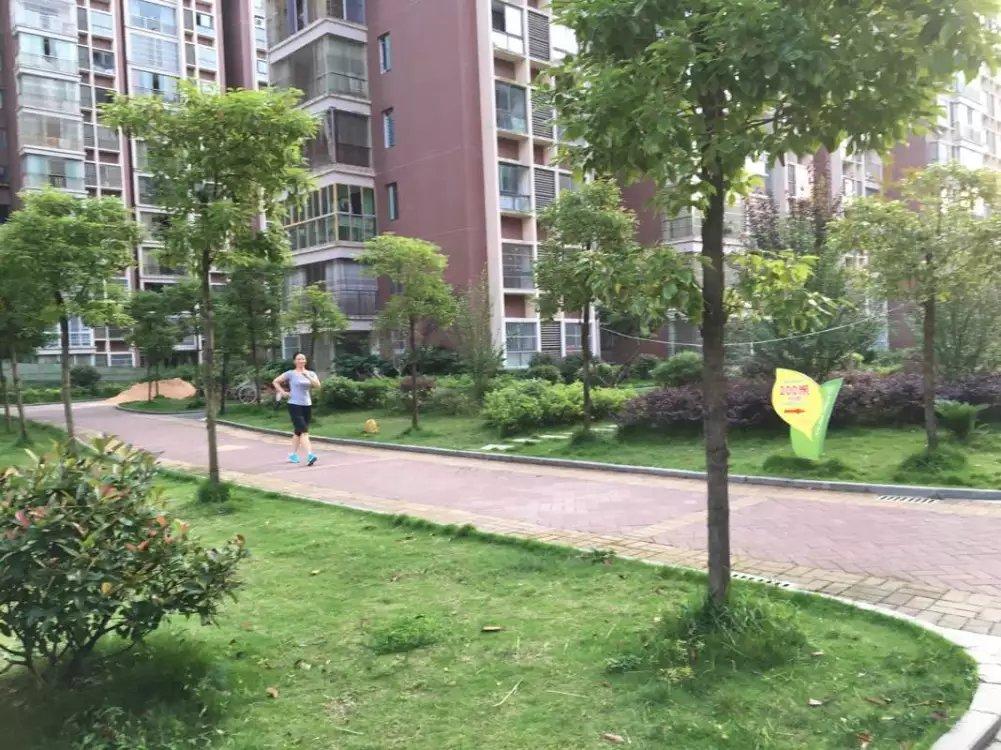 的候选作品 投稿时间:2016-06-22 11:07:03 福泉花园小区的健康步道