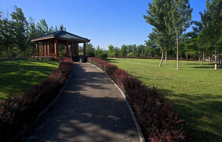 天津滨海新区塘沽森林公园健走步道