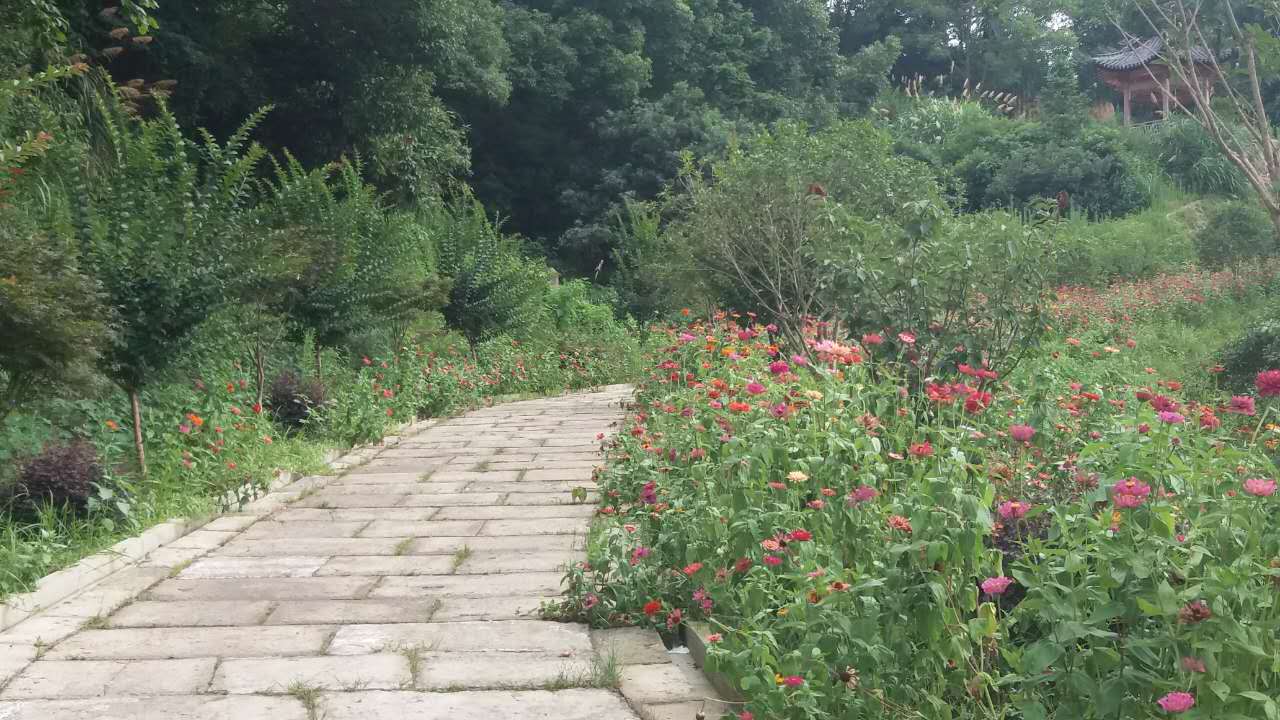 环境清幽,空气清新,人文景观和自然风景相得益彰,游步道宽阔平坦,可_风景520 步行道或公园名称:楚门镇东西村森林氧吧 地理位置:楚门镇东西村 开放时间:全天候 门票价格:免费 交通路线:自驾或乘车至省道S226与东西-垟根公路交叉口,随后沿东西-垟根公路200米即可到达。 东西村森林氧吧简介:作为省级农家乐特色示范村、玉环历史文化名村,东西村以美丽乡村建设为契机,大手笔投入资金对戴明古居、千年古戏台、西岙碉楼等一批历史文化遗迹进行修膳保护,建设森林养吧,经过两年的努力,现已初具规模。在东西村森林氧吧旁还种植了40多亩荷花、马鞭草、百日草,现正值花期,全面盛开,粉红色的、紫