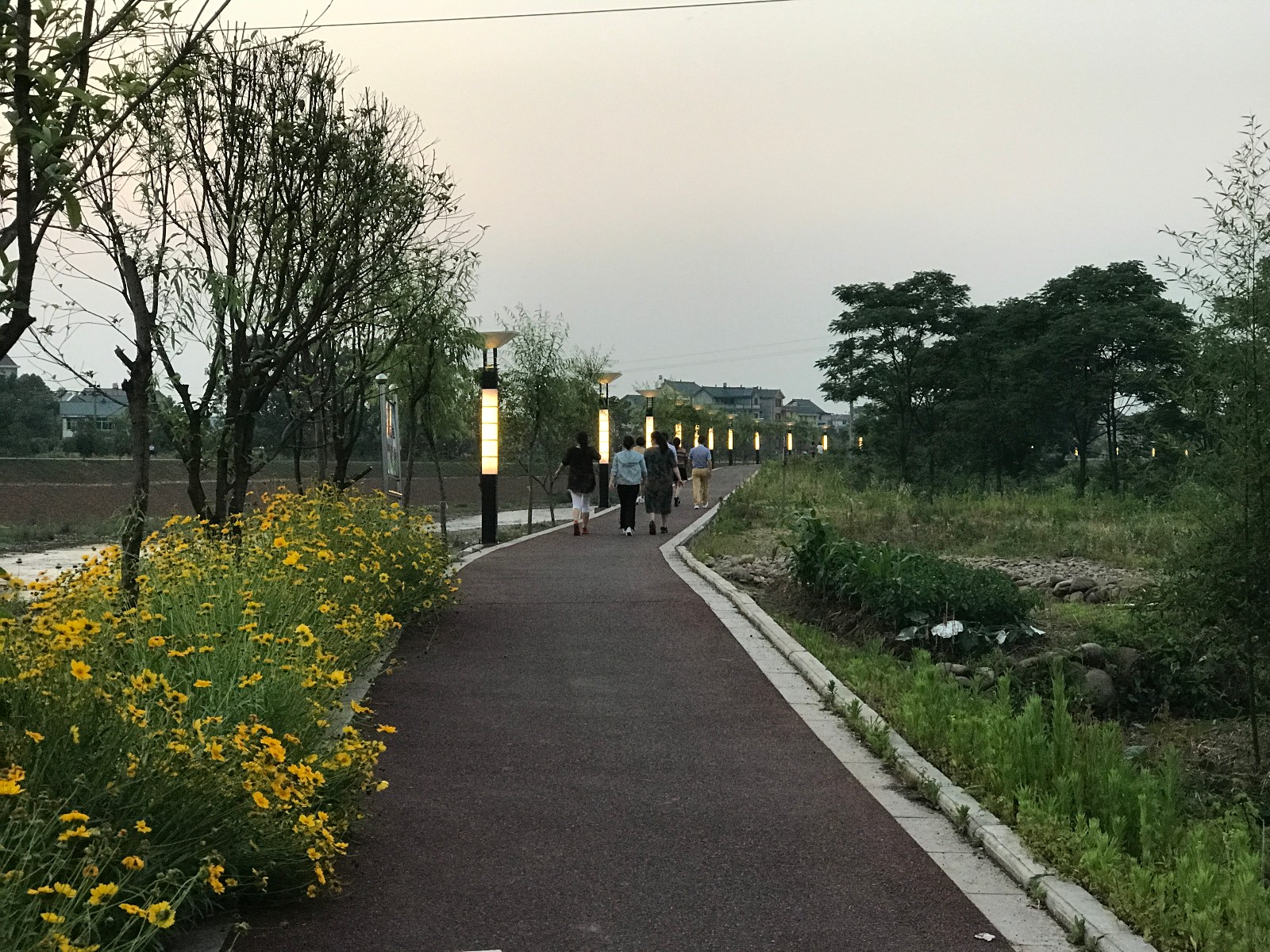浙江省江山市峡口镇峡里风健康主题公园