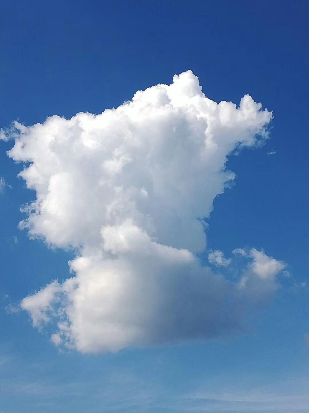 1534869439980676.jpg 微信图片_20180822003447.jpg