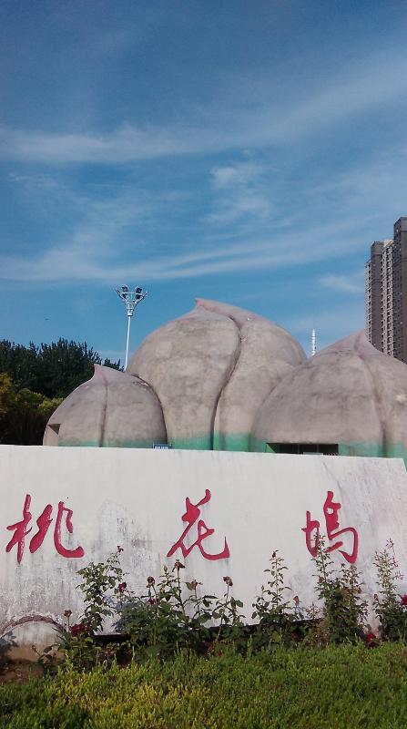 投稿时间:2016-07-13 10:34:29 淮安市桃花坞公园是淮安市永久性保护