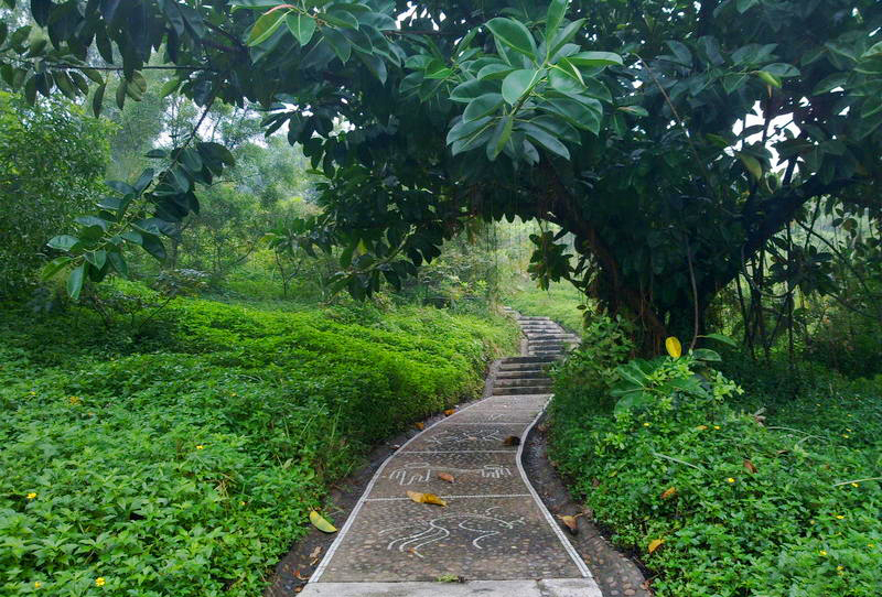 (6)步道/公园简介:深圳市碧海湾公园是一座环山公园,位于宝安西乡,东