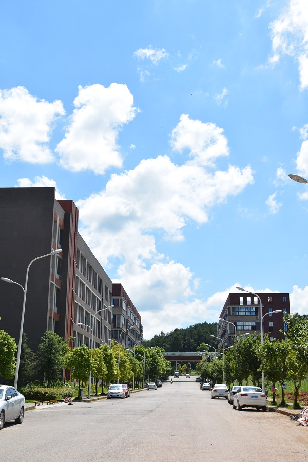 首届万步有约发现健走场地活动投稿平台