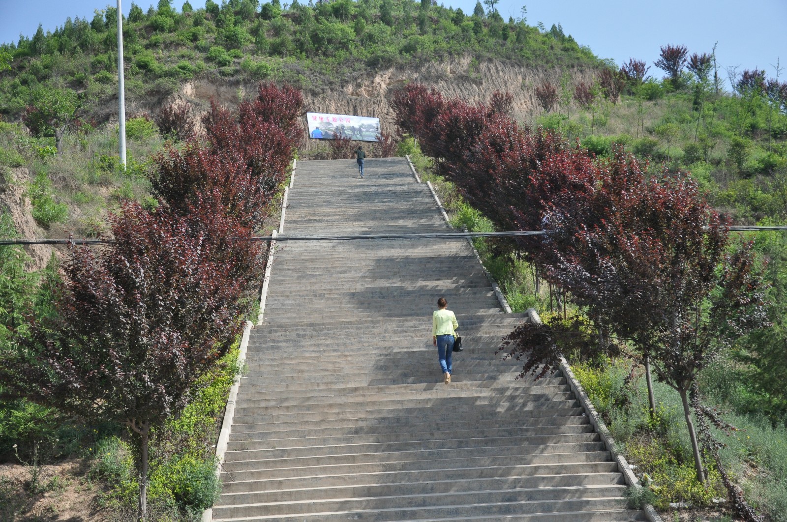 ① 步道/公园名称:陇县北坡健康主题公园 ②地理位置:陇县县城北关
