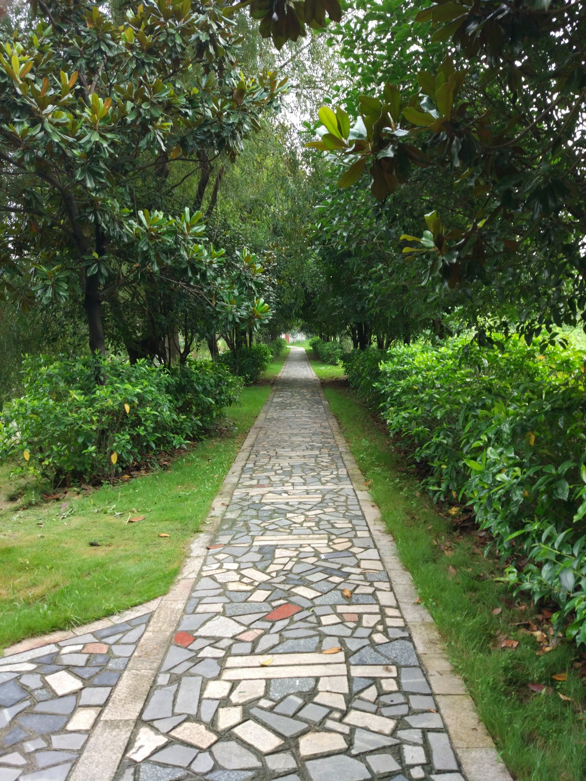 (一)宁静的林中小路(二)池塘边小路供人休闲(三)晨间道路在树阴下显得