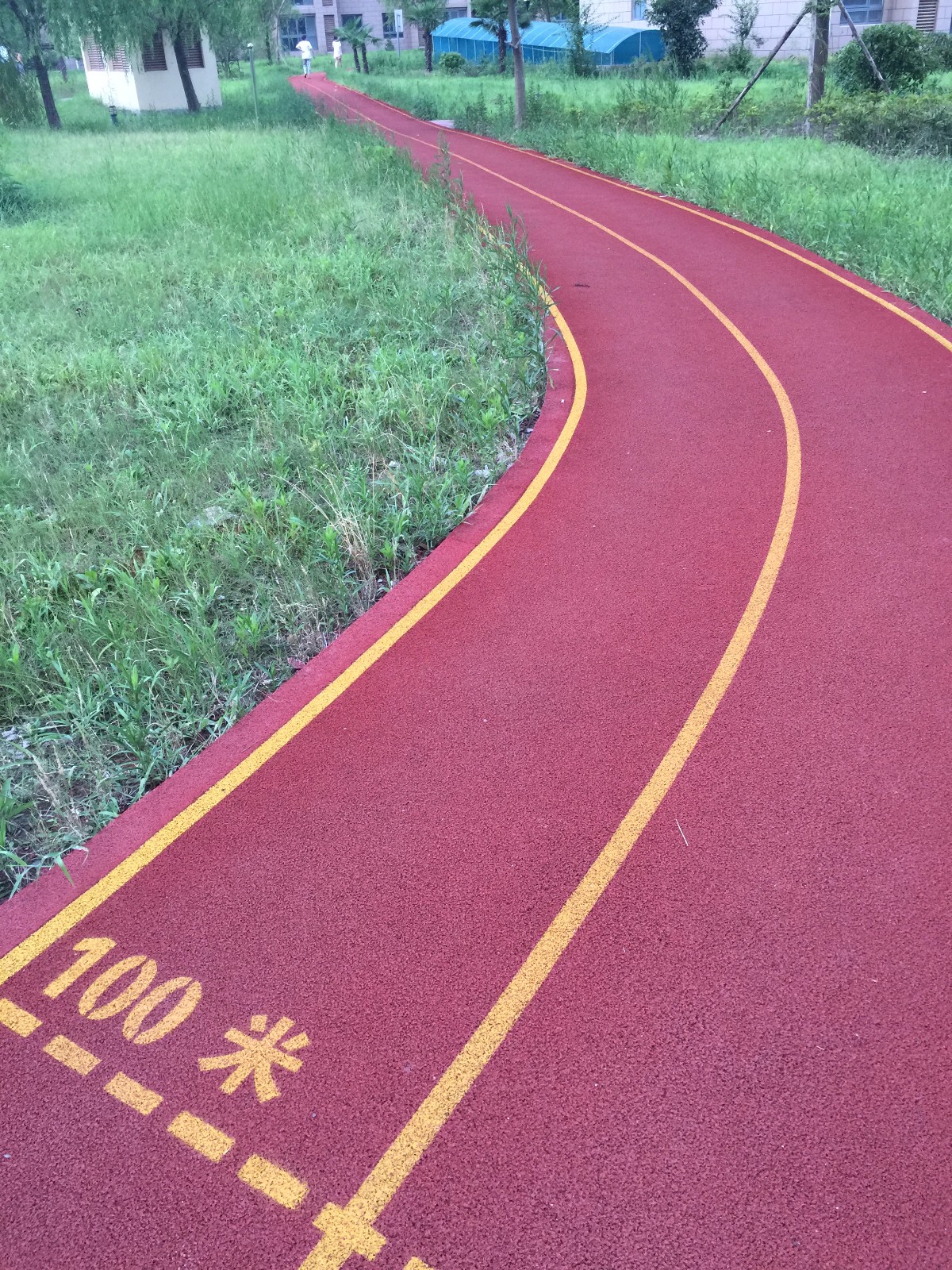 ⑩步道/公园图片:健走步道的图片,健走场所周边的环境,健走活动的精彩