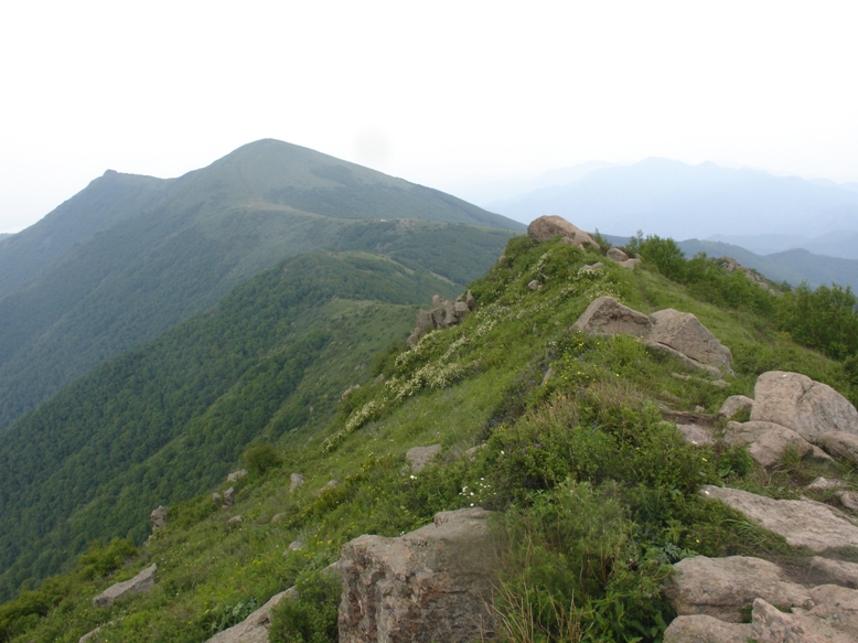 02小海坨.JPG