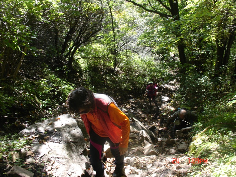 07登山途中.JPG