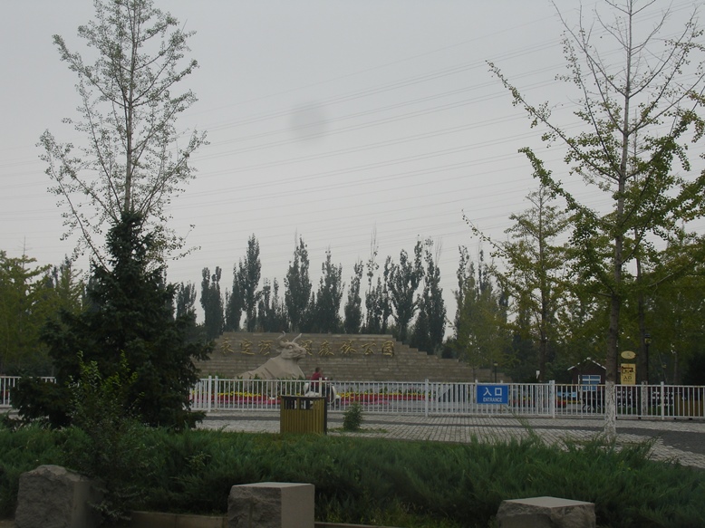 DSC02050.JPG