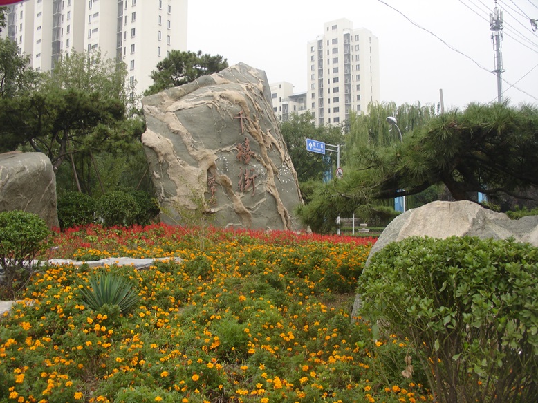 DSC02061.JPG
