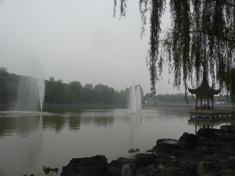 DSC01993.JPG