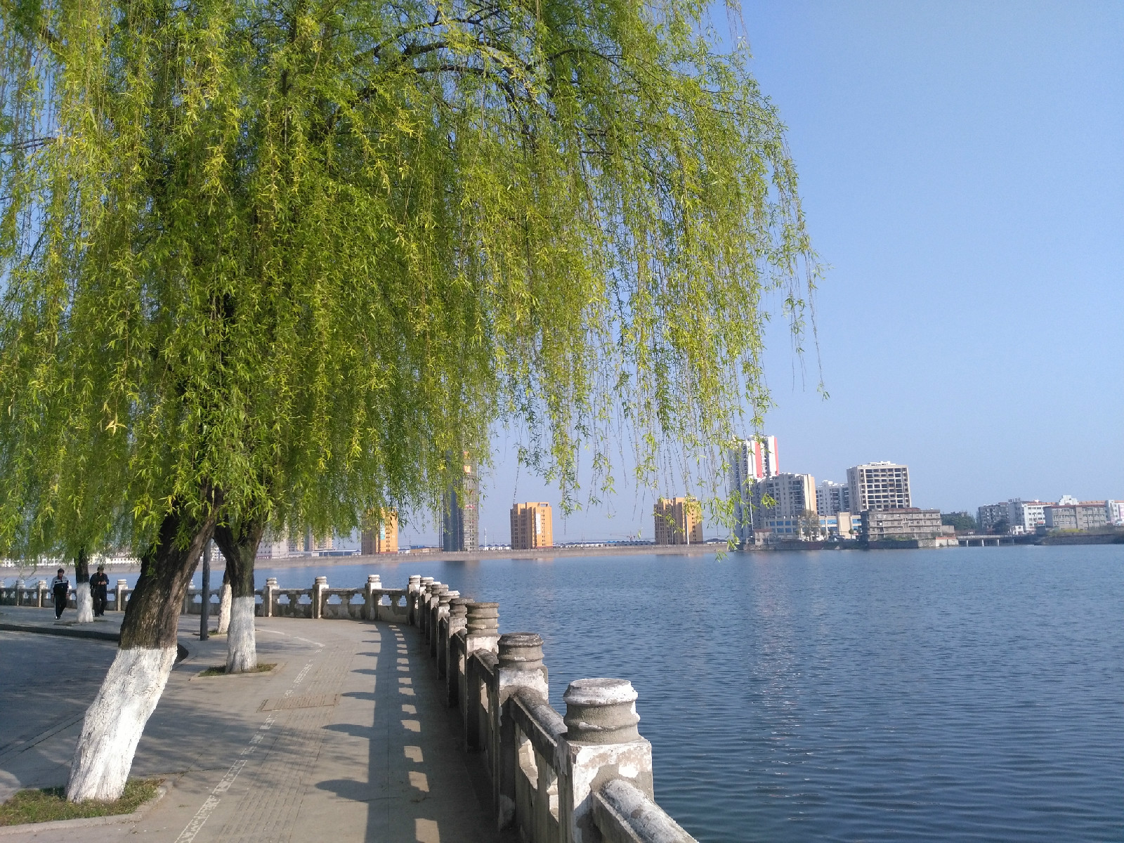 宜城市鲤鱼湖环湖步道之一情侣路步道