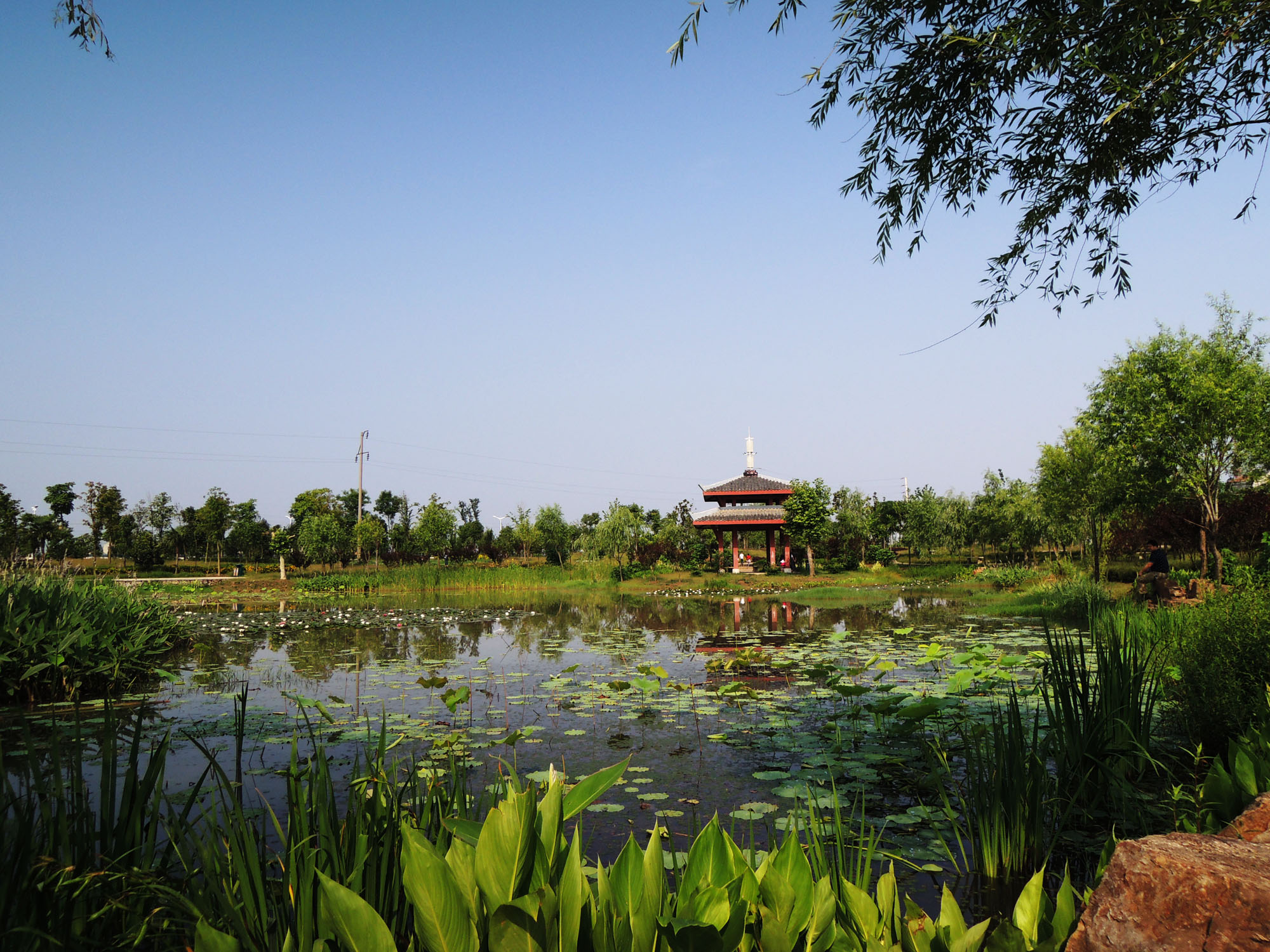 宜城市鲤鱼湖环湖步道之二:楚都公园