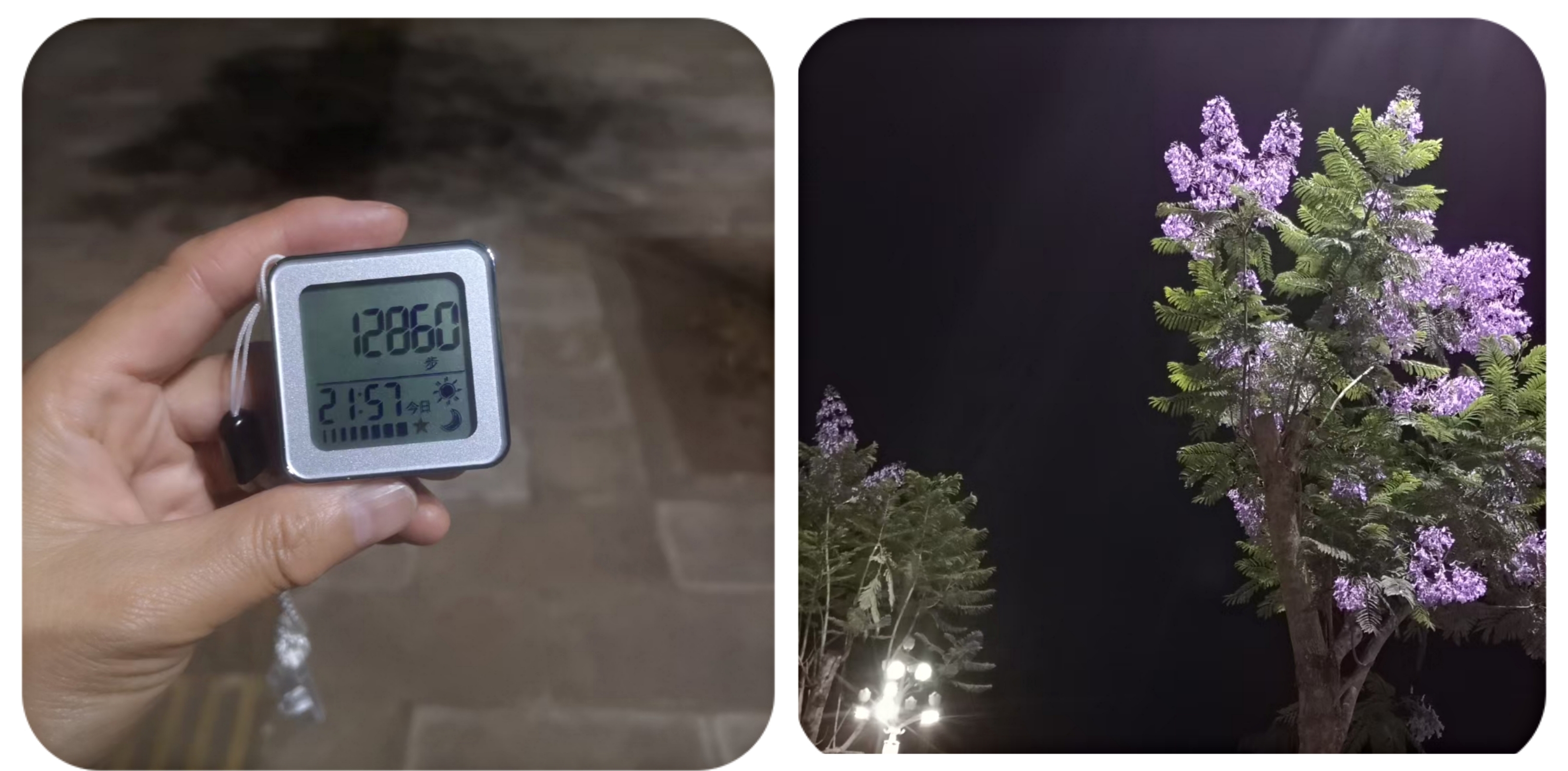 微信图片_20210702111232.jpg