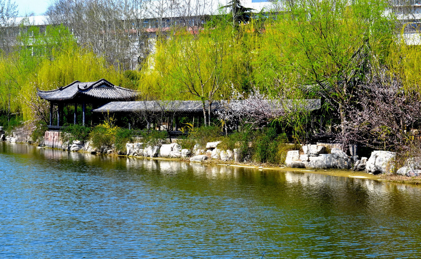 5:00-23:00 门       票: 免费 地       址: 山东省潍坊市奎文区虞河