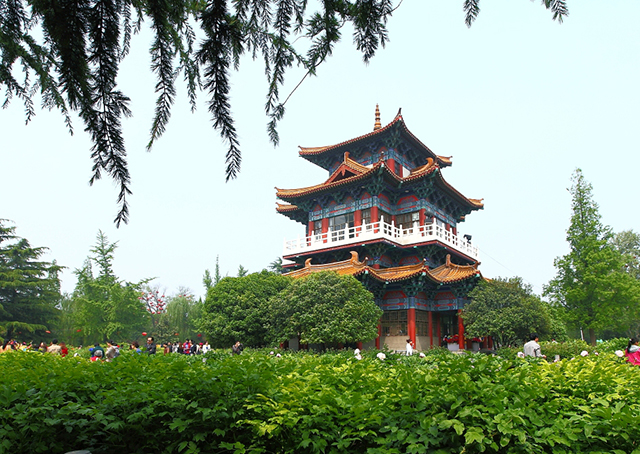 健走场地 牡丹公园 牡丹公园 推  荐 度: 开放时间: 全天 门       票