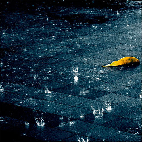 挑战十万步,风雨亦无阻