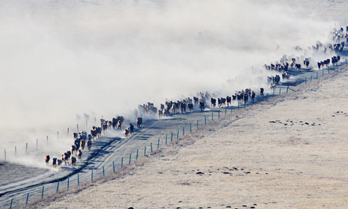 image037_副本.png