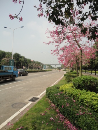 10.JPG